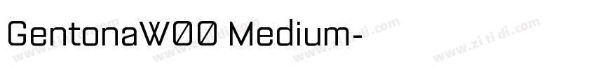 GentonaW00 Medium字体转换